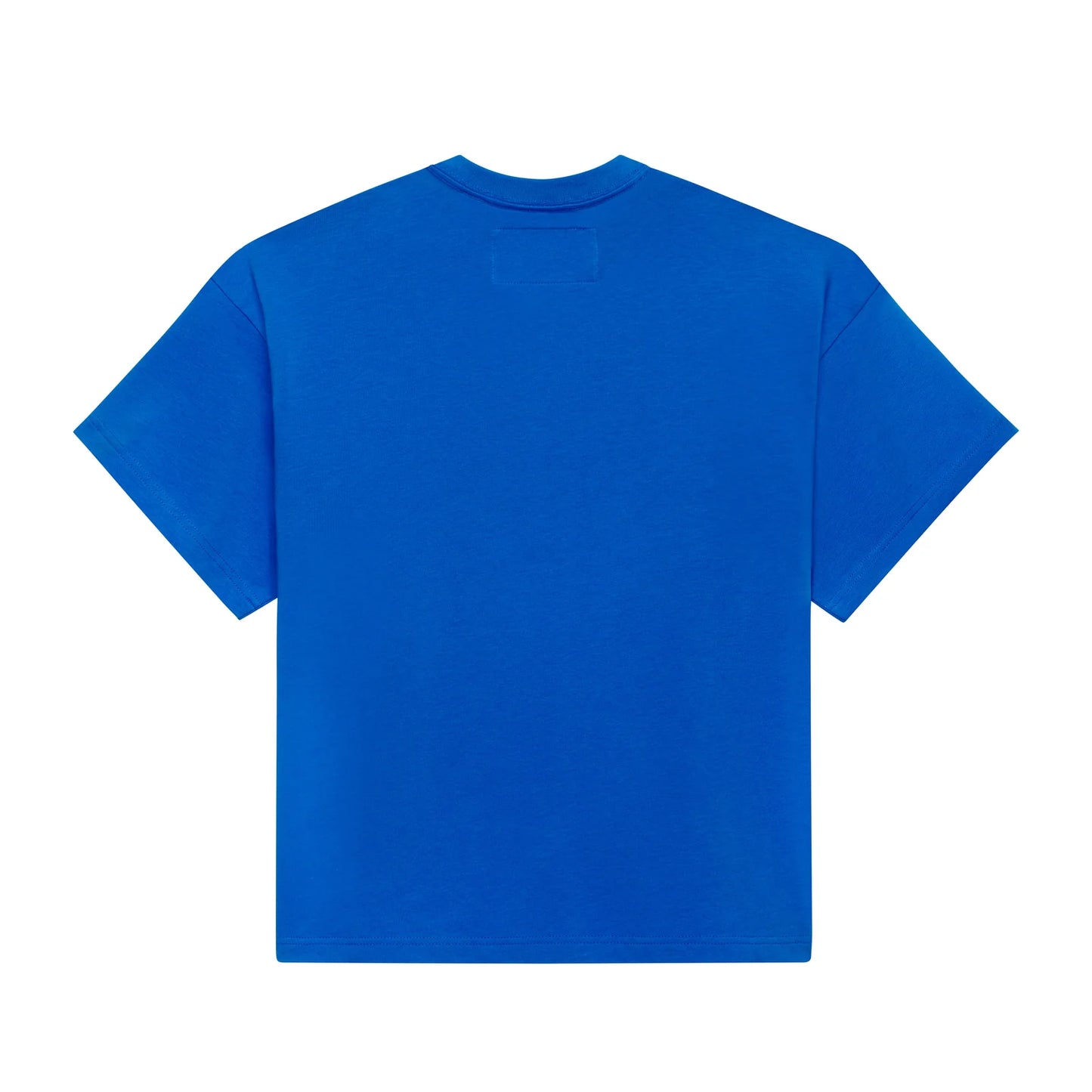 Spider-BELUGA TEE