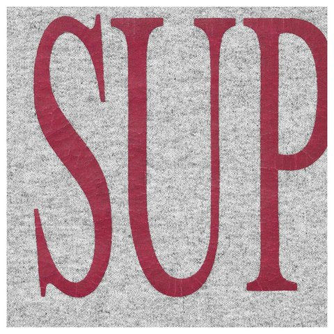 Supreme Capital Hooded Sweatshirt - Heather Grey