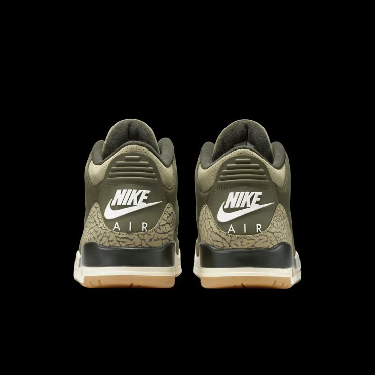 Air Jordan 3 “Family Affair”