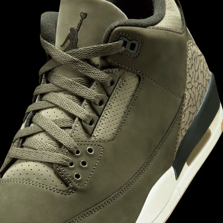 Air Jordan 3 “Family Affair”