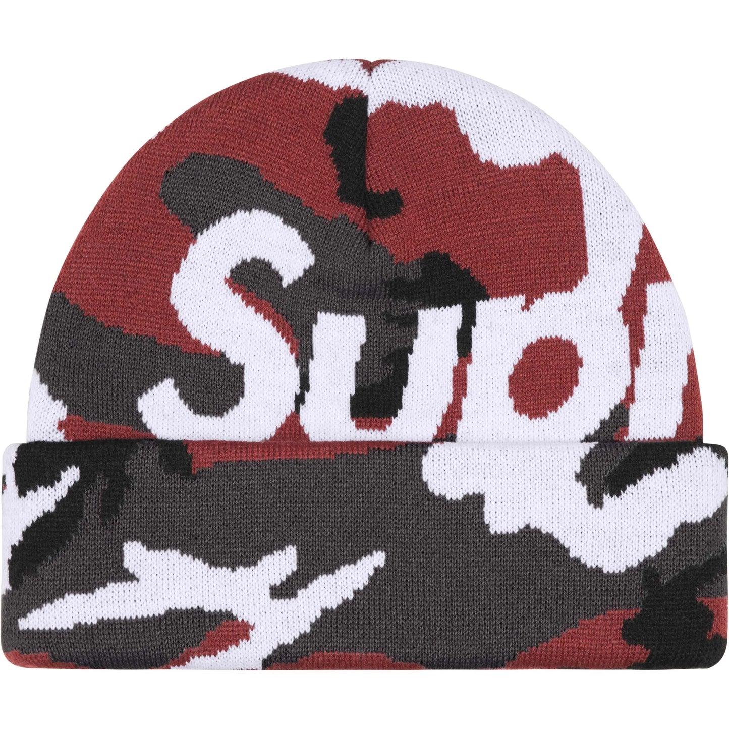 Big Logo Beanie