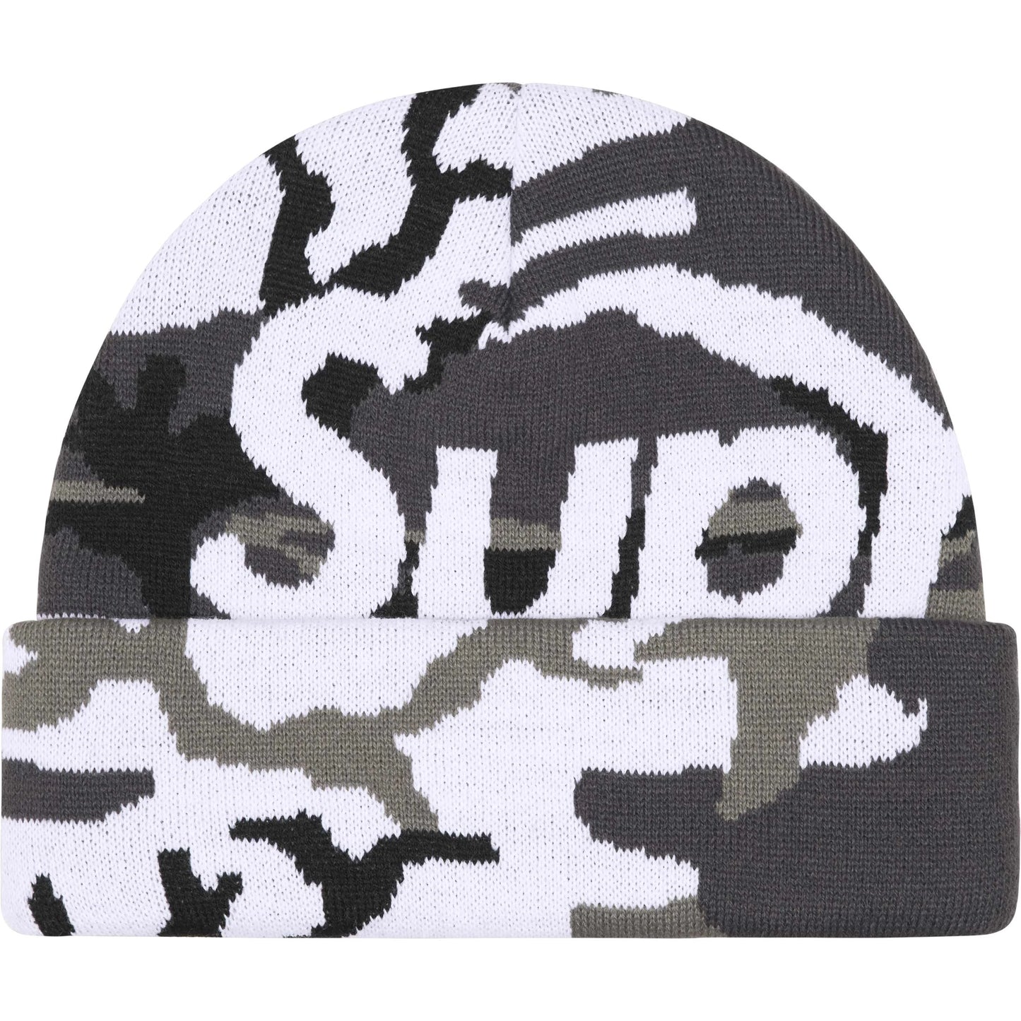 Big Logo Beanie